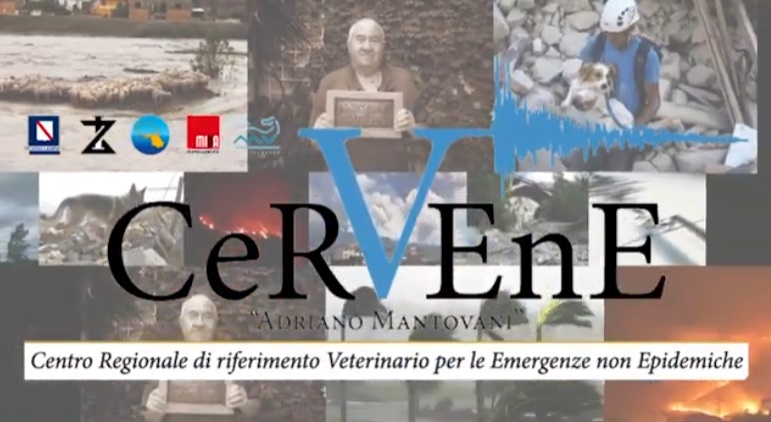 CeRVEnE